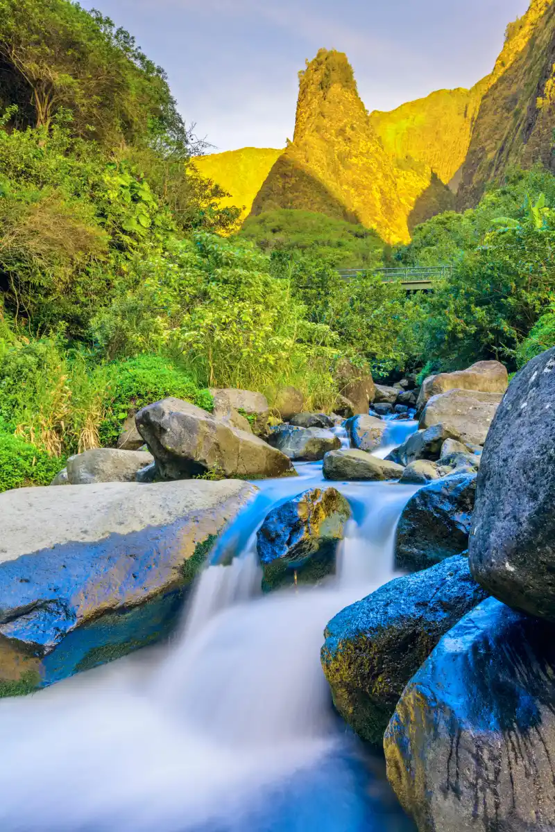 Needle and river